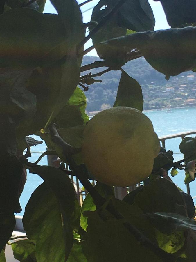 Casa Rossa Apartman Porto Venere Kültér fotó